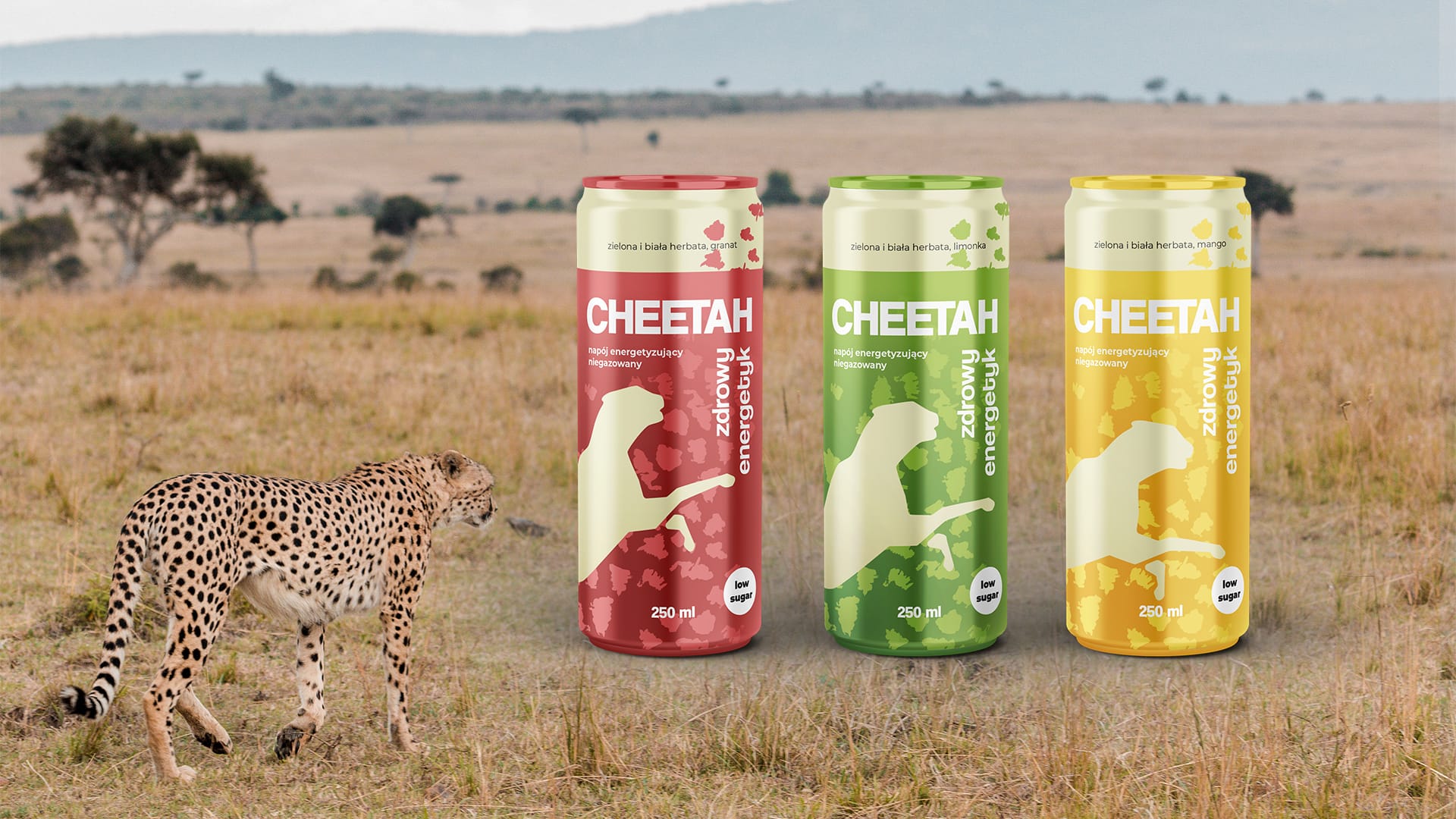 cheetah2 Cheetah – szybkość geparda, lekkość herbaty - projekty opakowań
